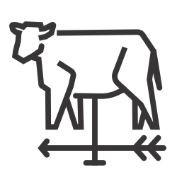 cow website icon