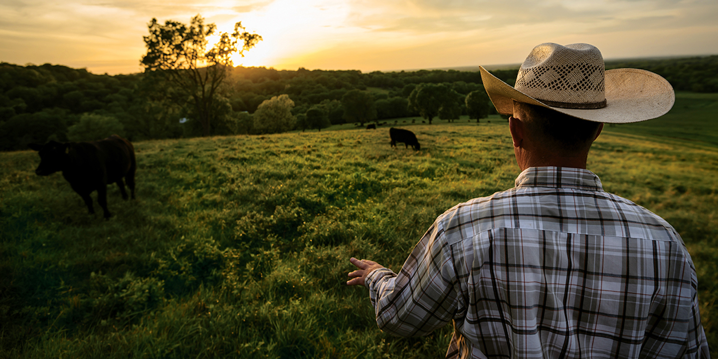 rancher looking out at pasture