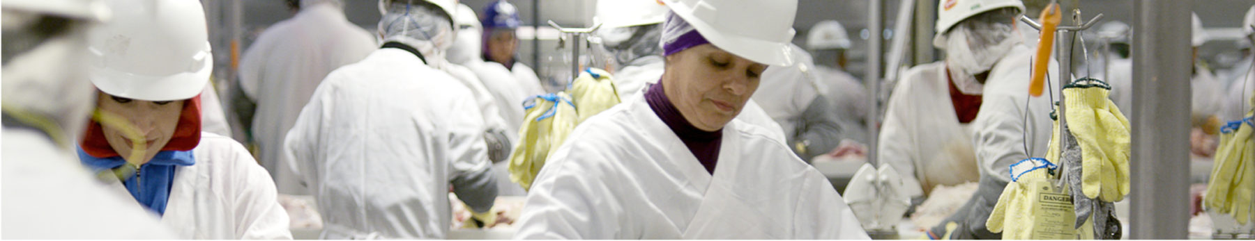 woman working in meat plant