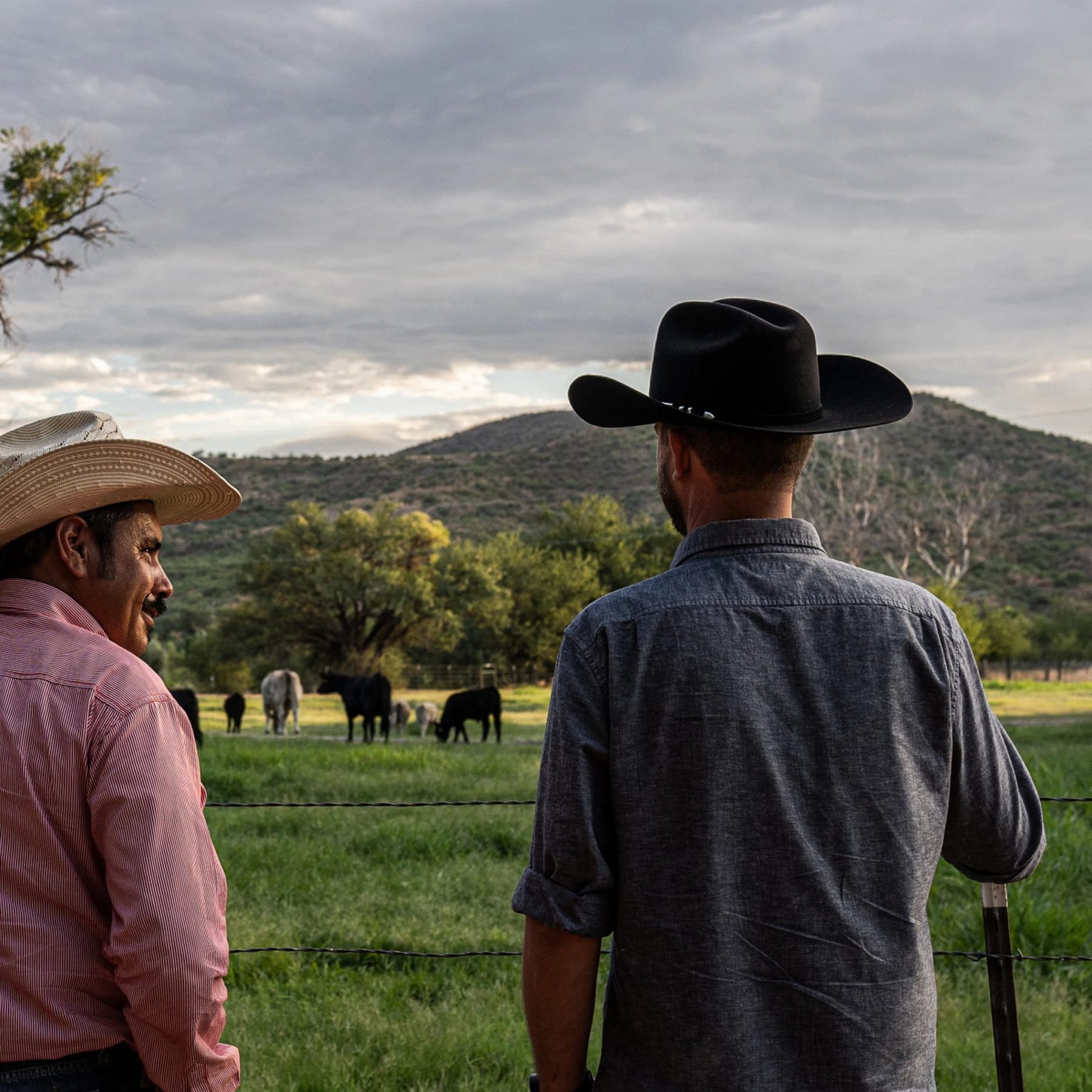 two ranchers looking out into pasture