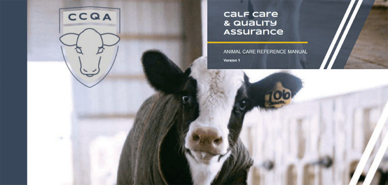 calf care & quality assurance