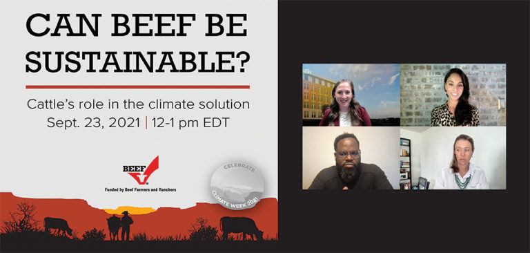 can beef be sustainable