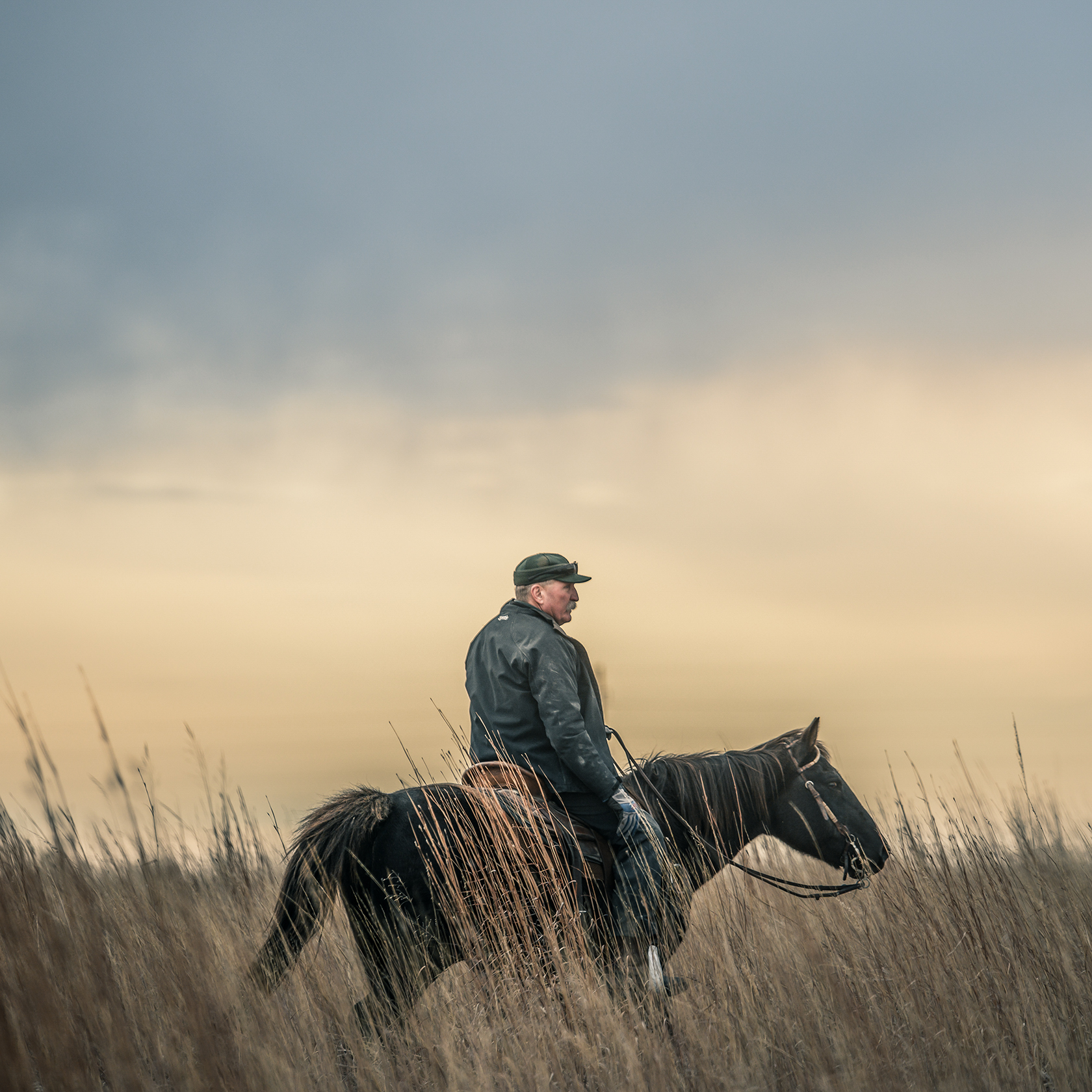 Producer on Horse in Field