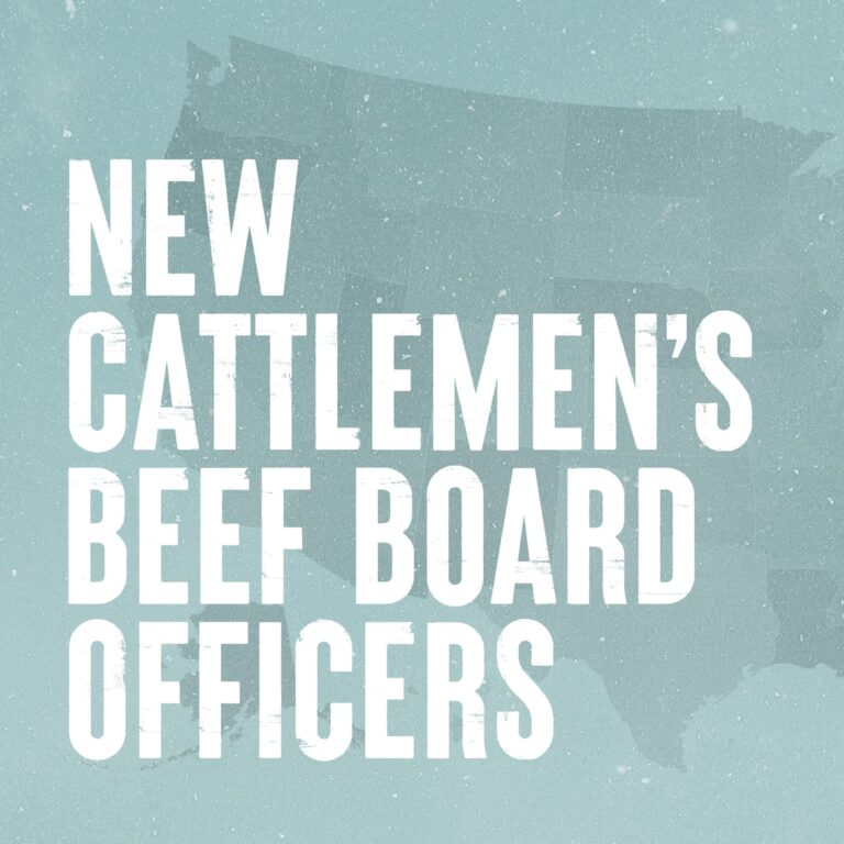 New Cattlemen's Beef Board Officers